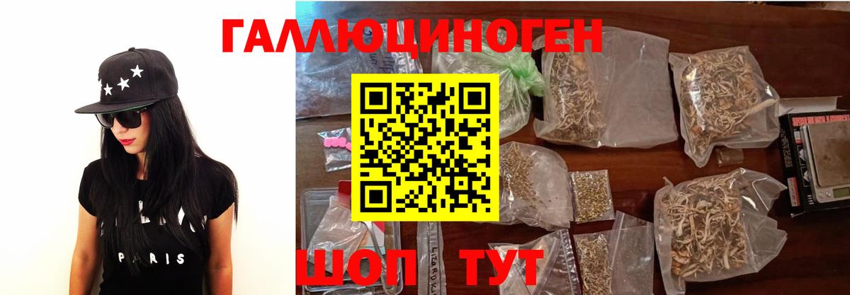Псилоцибиновые грибы Cubensis  Вход с VPN  Чернушка  Галлюциногенные грибы прущие грибы 